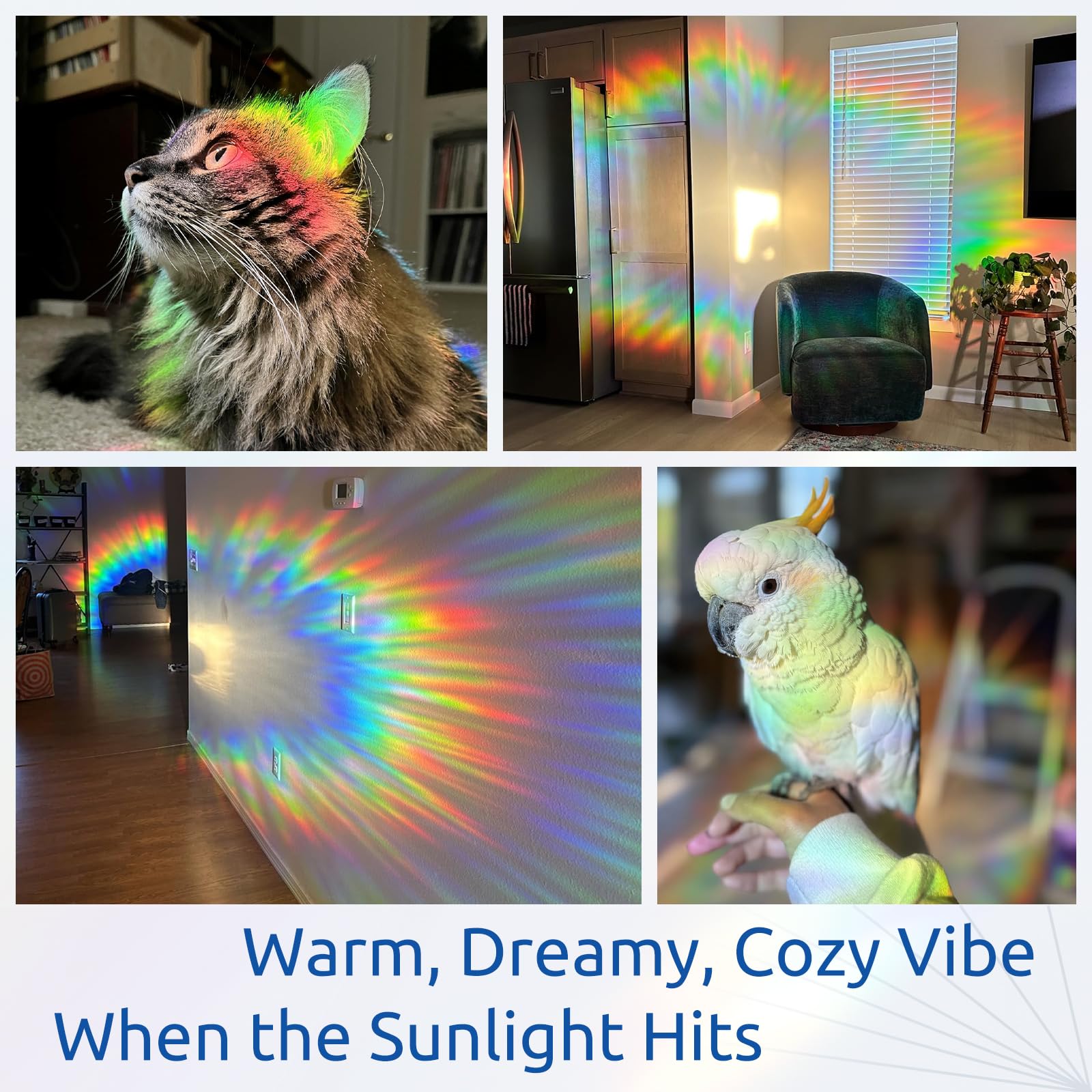 Rabbitgoo iridescent suncatcher window sticker enhances ambience with shimmering hues.