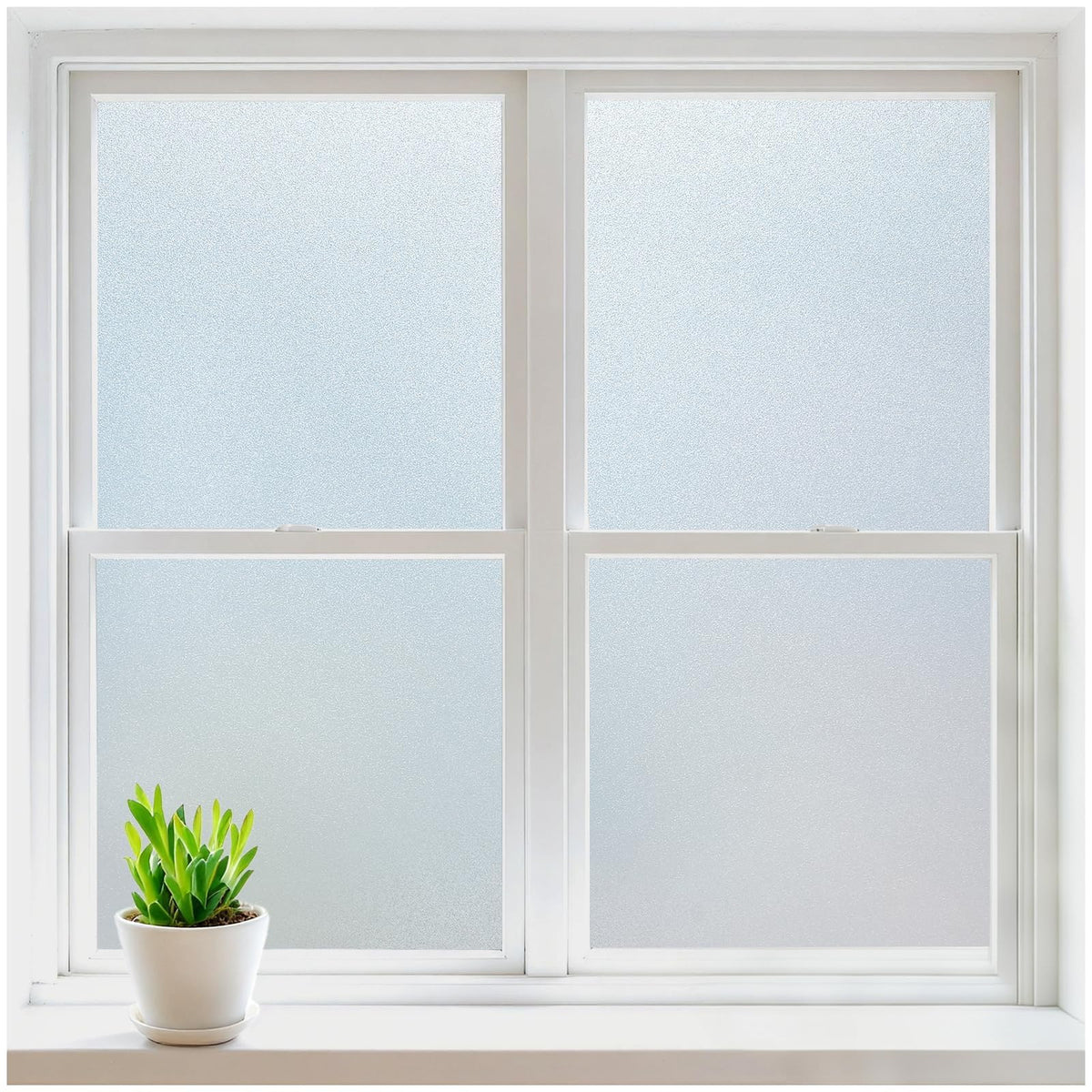 Rabbitgoo window film frost privacy with soft light blurs outdoor views