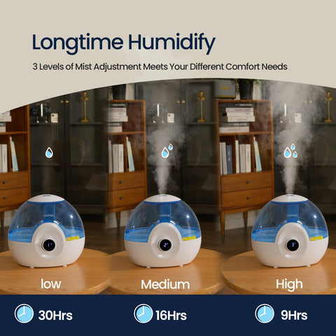 Raydrop 2.2L humidifier water level indicator helps monitor fill.