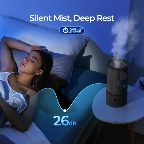 raydrop humidifier works on US 110V power