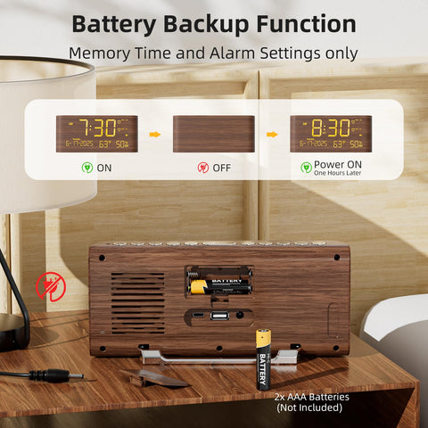 Raynic battery backup preserves alarms during outages