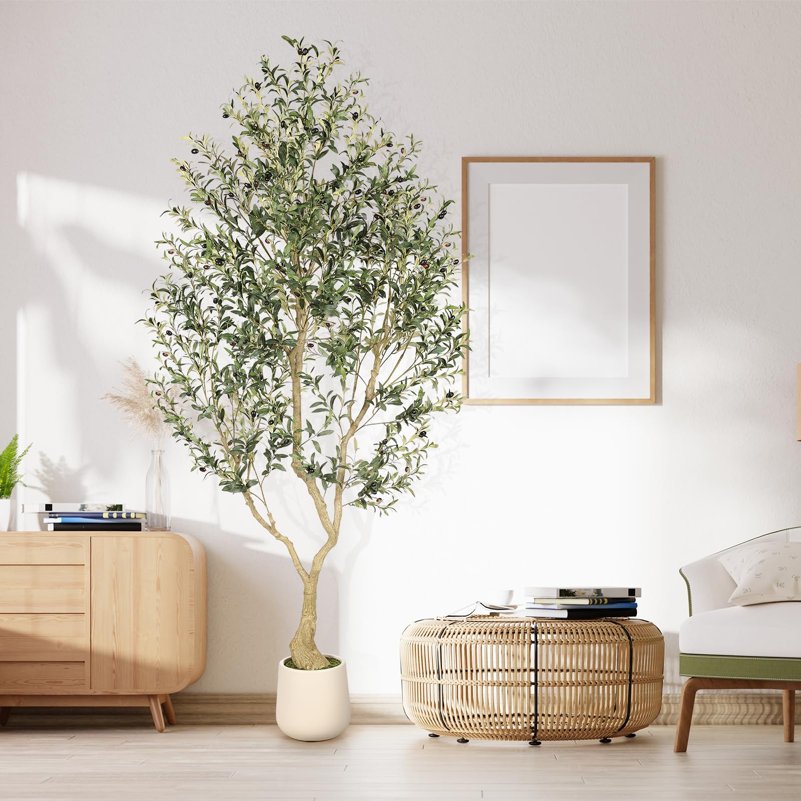Gift-worthy olive tree from REALEAD ready to brighten new homes.