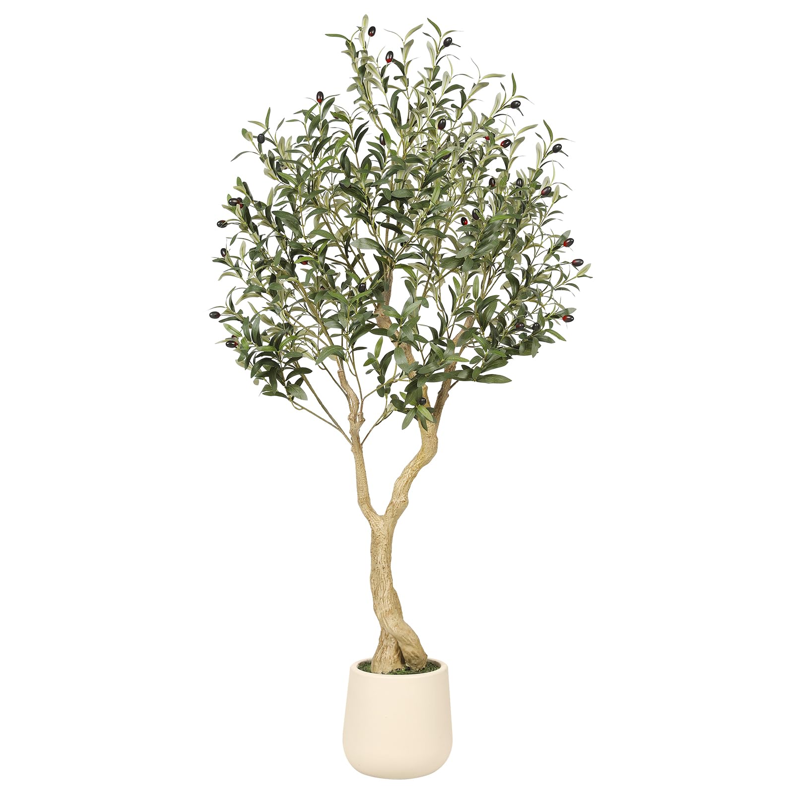 REALEAD Olive Tree 5ft indoors in white planter adds natural elegance to living spaces.