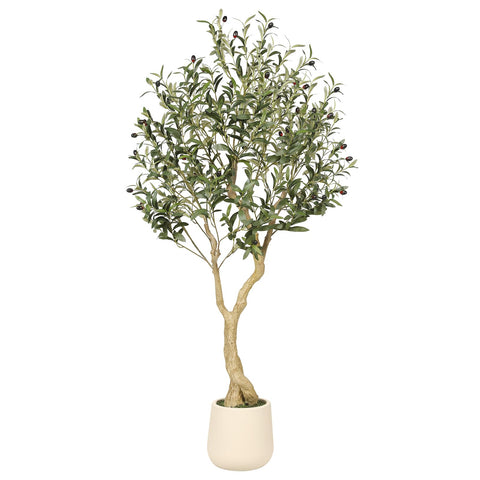 REALEAD Olive Tree 5ft indoors in white planter adds natural elegance to living spaces.