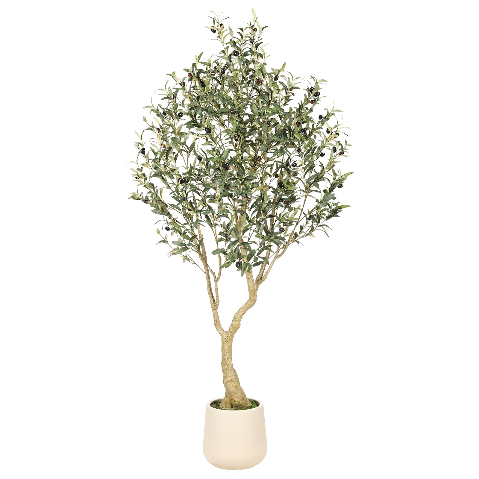 REALEAD olive tree 6ft with tall planter enhances living room ambience