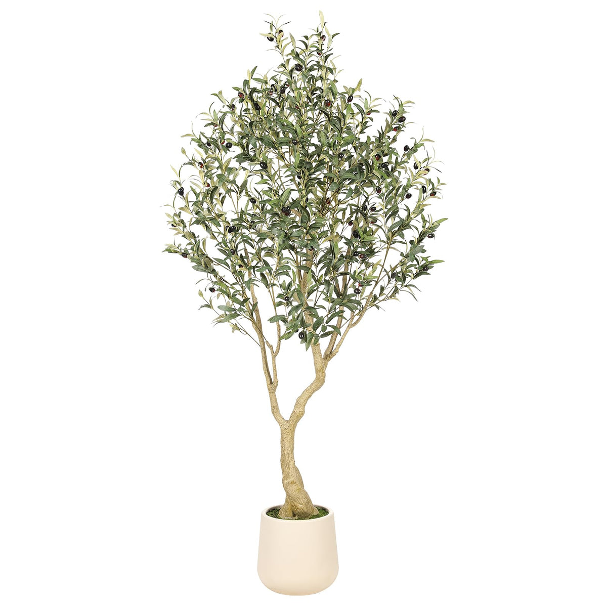 REALEAD olive tree 6ft with tall planter enhances living room ambience