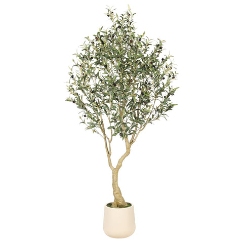 REALEAD olive tree 6ft with tall planter enhances living room ambience