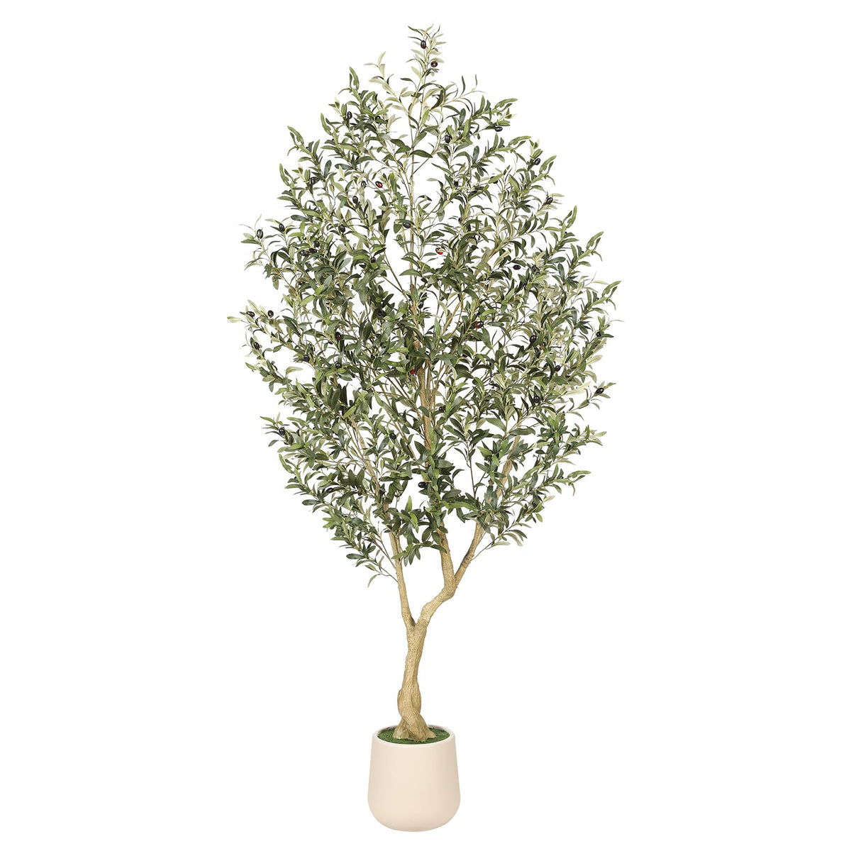 REalead 7ft olive tree full view enhances room ambiance with lifelike greenery.