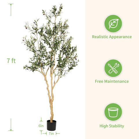 REALEAD weighted pot provides stability for tall tree