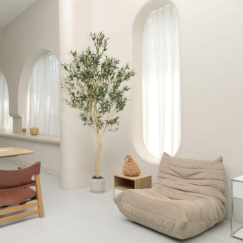 REALEAD olive tree makes a thoughtful gift for holidays or housewarmings.