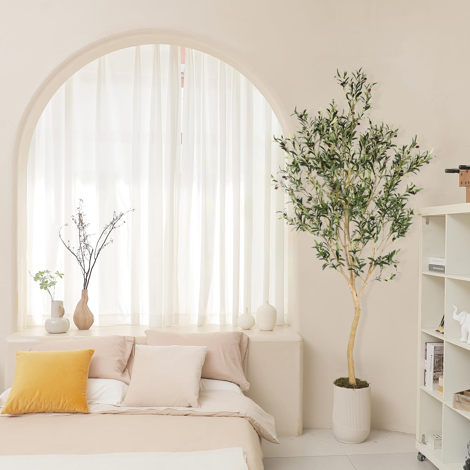 REALEAD olive tree in living room adds versatile decor appeal.
