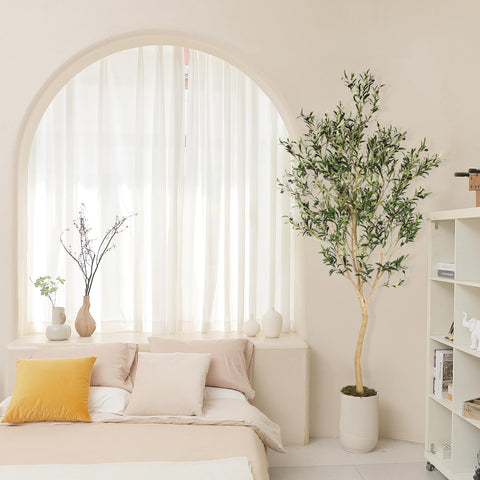 REALEAD olive tree in living room adds versatile decor appeal.