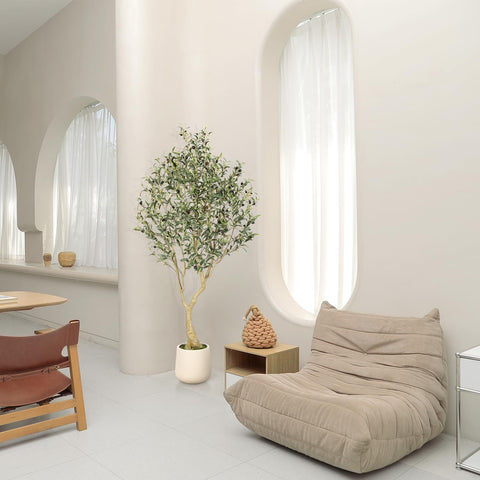 REALEAD olive tree office decor adds greenery to workspaces