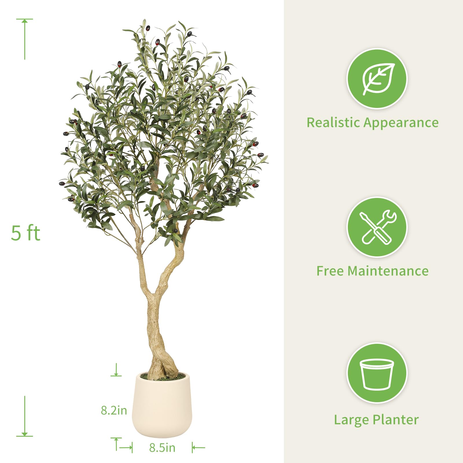 REALEAD Olive Tree thick trunk creates a sturdy focal point in any room.