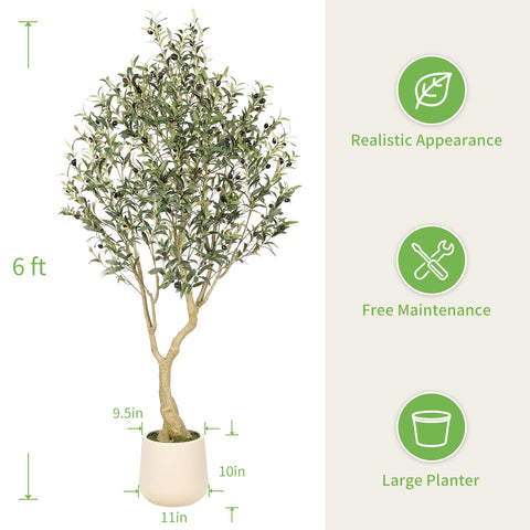 REALEAD olive tree thick trunk adds visual weight to office decor