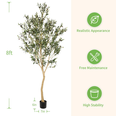 REALEAD weighted pot ensures stable placement for the tree.