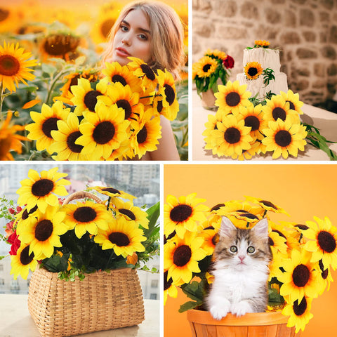 Redbaker easy-care flowers require no watering, ideal for busy homes and offices.