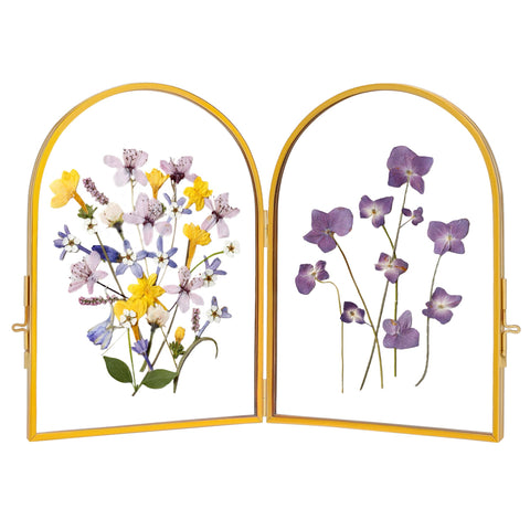 REDHUGO double glass frame highlights pressed flowers with a clean, elegant display.
