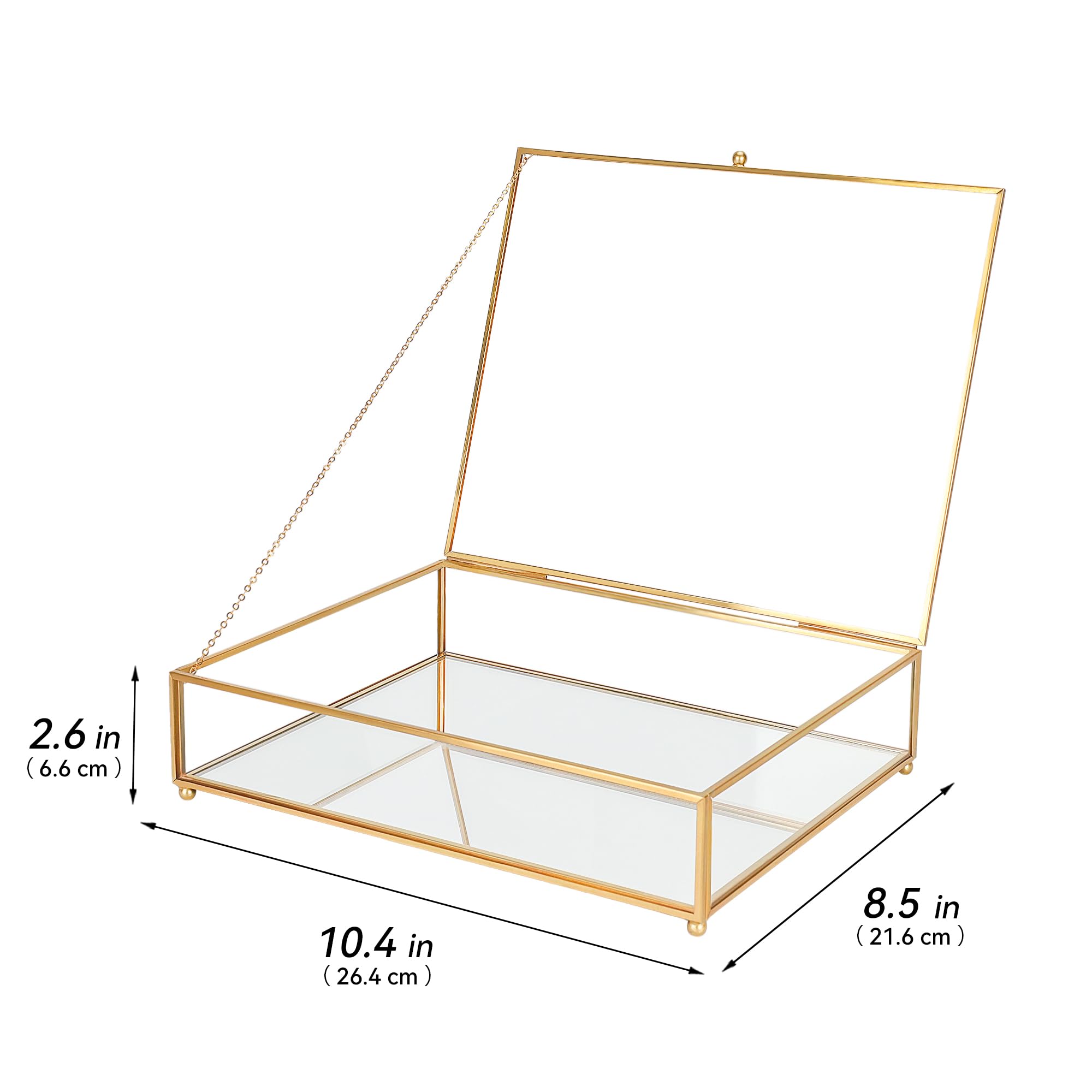RedHUGO large glass display box shows beaded feet detail elevating items stylishly.
