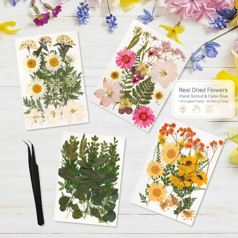 Relaxing Garden design tools ready to start your botanical artwork today.