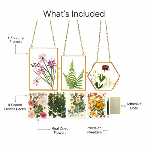 Relaxing Garden floating double glass frame showcasing real flowers in a modern display.