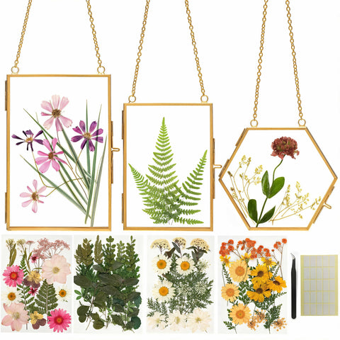 Relaxing Garden pressed flower craft kit with curated blooms for creative relaxation.