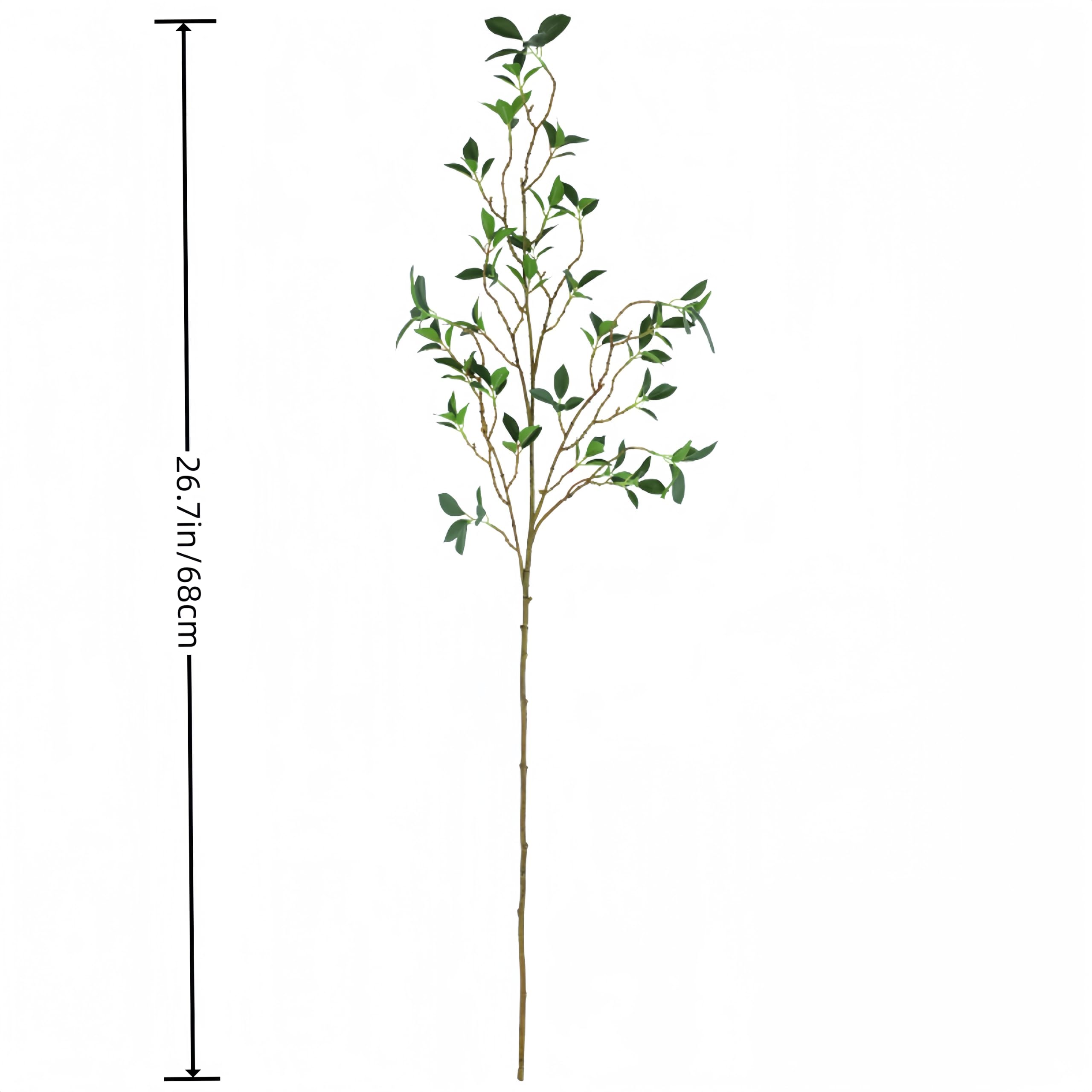 Relxhmft easy-care stems stay vibrant with light dusting
