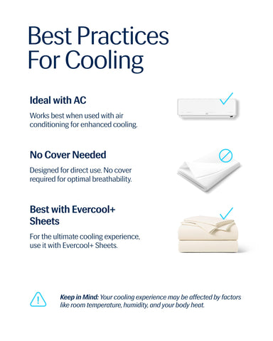 REST Evercool gift packaging image showcases premium presentation.
