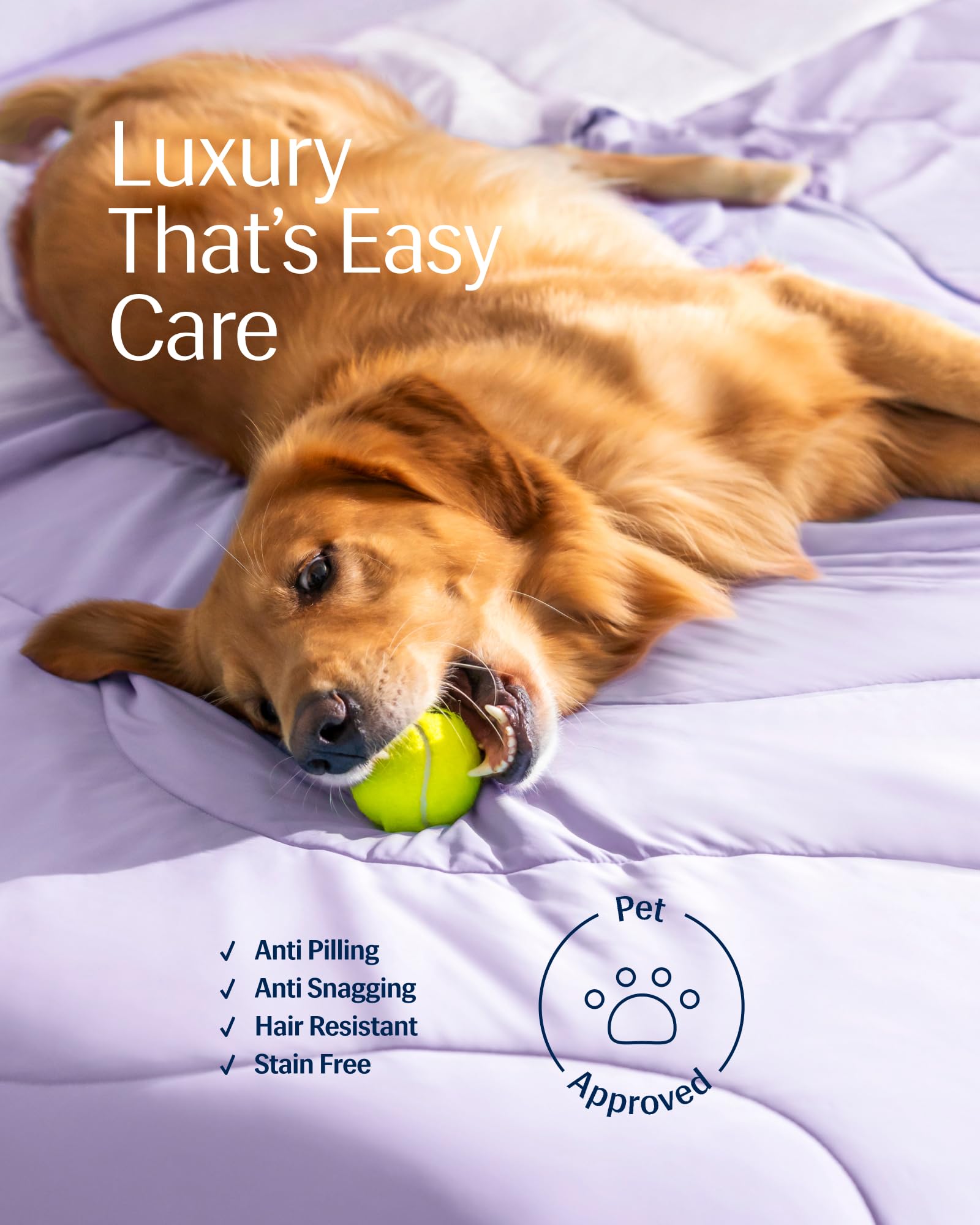 REST Evercool blanket in pet-friendly bedroom shows easy maintenance.