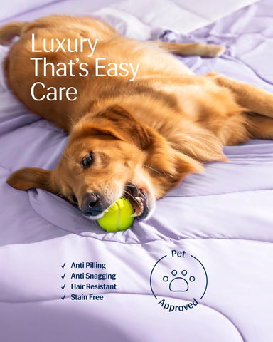 REST Evercool blanket in pet-friendly bedroom shows easy maintenance.