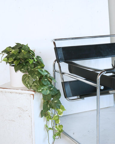Retrograde pothos ivy 32in side view; versatile decor for shelves or desks.