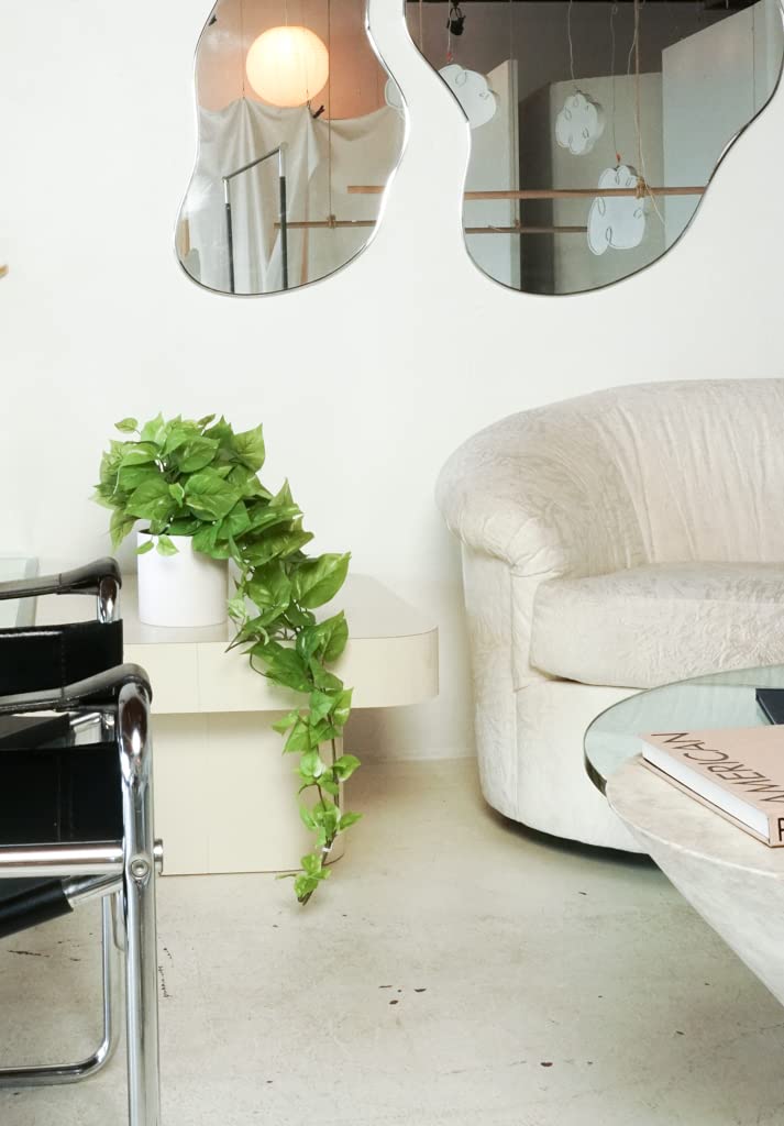 Desk decoration with Retrograde pothos adds color and calm.