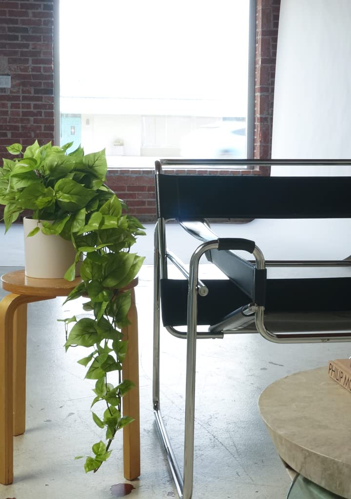 Retrograde pothos plant brightens living room setups and workspaces.