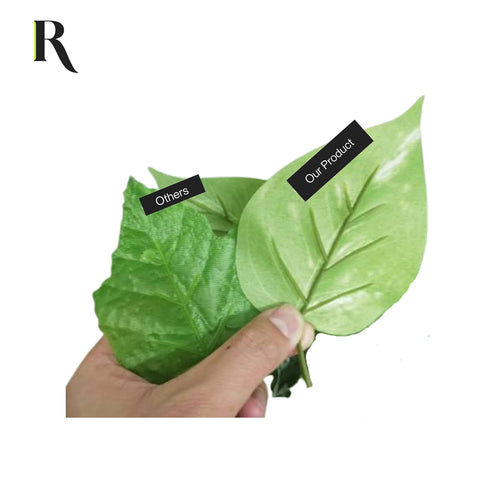 Removable pot makes rearranging and cleaning easier for Retrograde pothos.