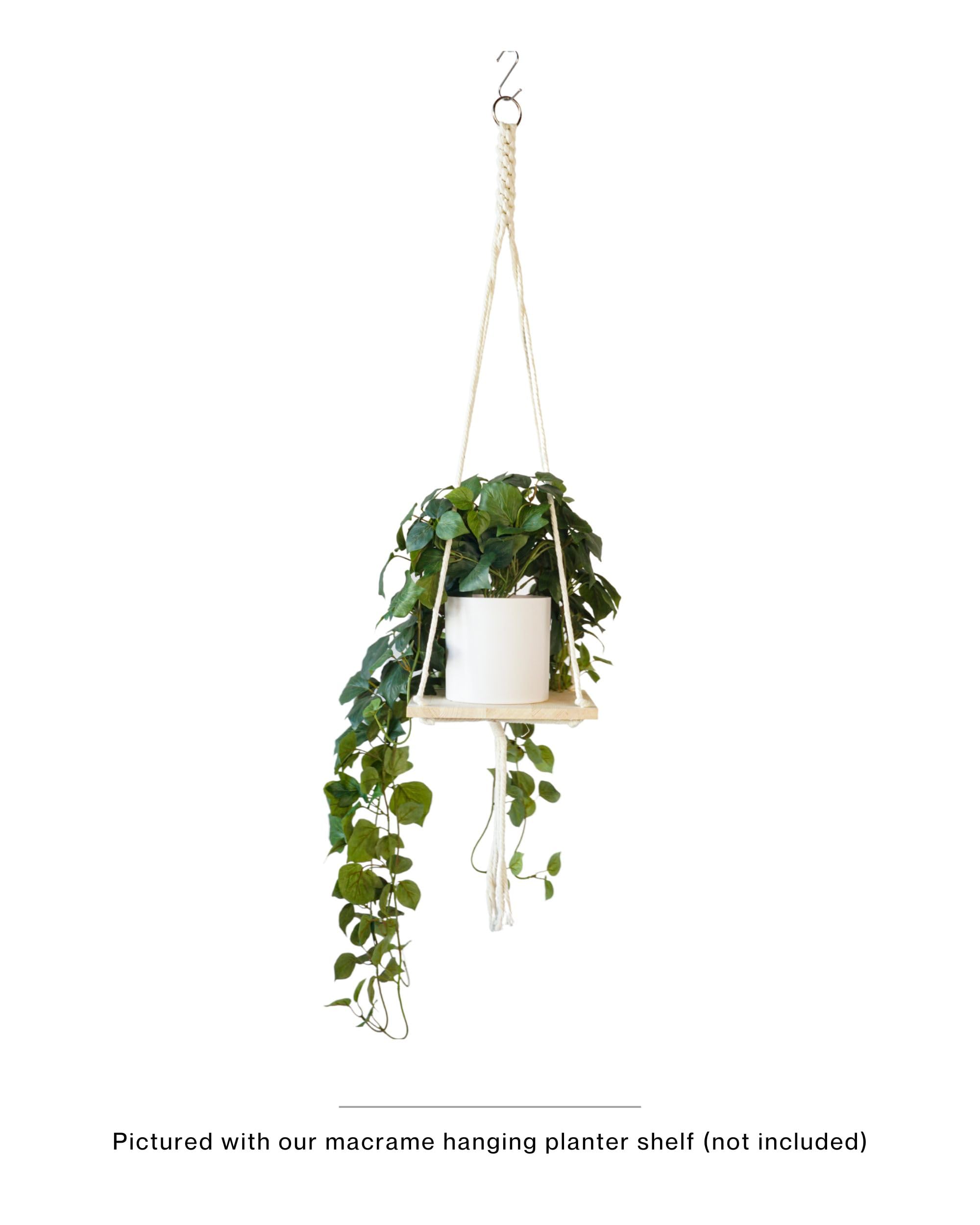 Retrograde pothos silk plant suits bathroom decor with low maintenance charm.
