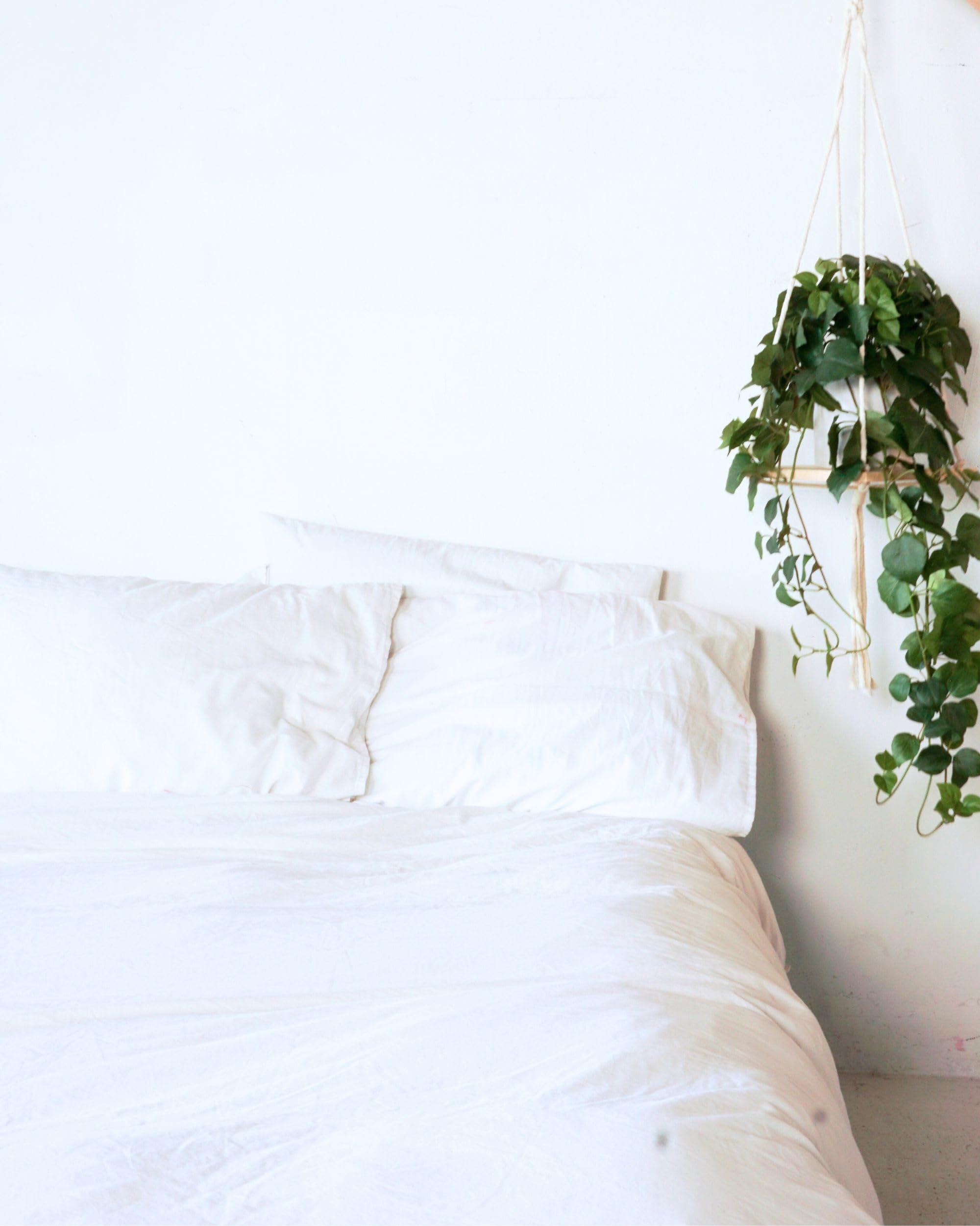Office-friendly Retrograde pothos silk plant brightens desks and shelves.