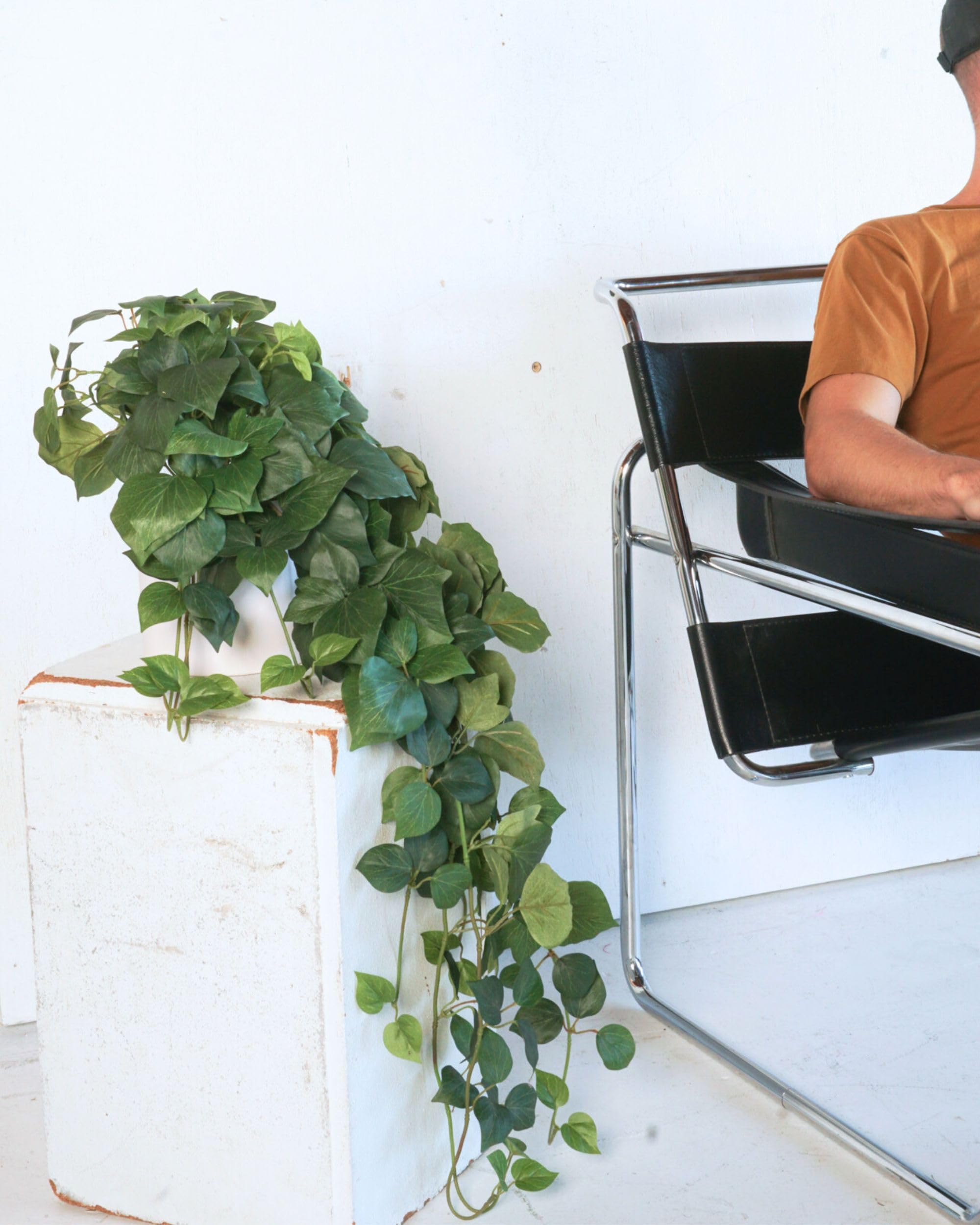 Pothos silk plant on shelf by Retrograde adds lush accent.