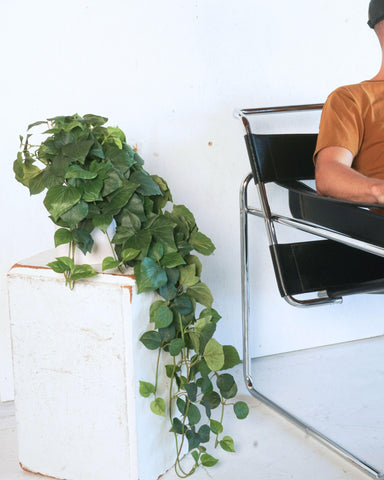 Pothos silk plant on shelf by Retrograde adds lush accent.
