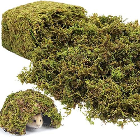 Riare artificial moss 2-6lbs packaging highlights vibrant color for versatile crafts.