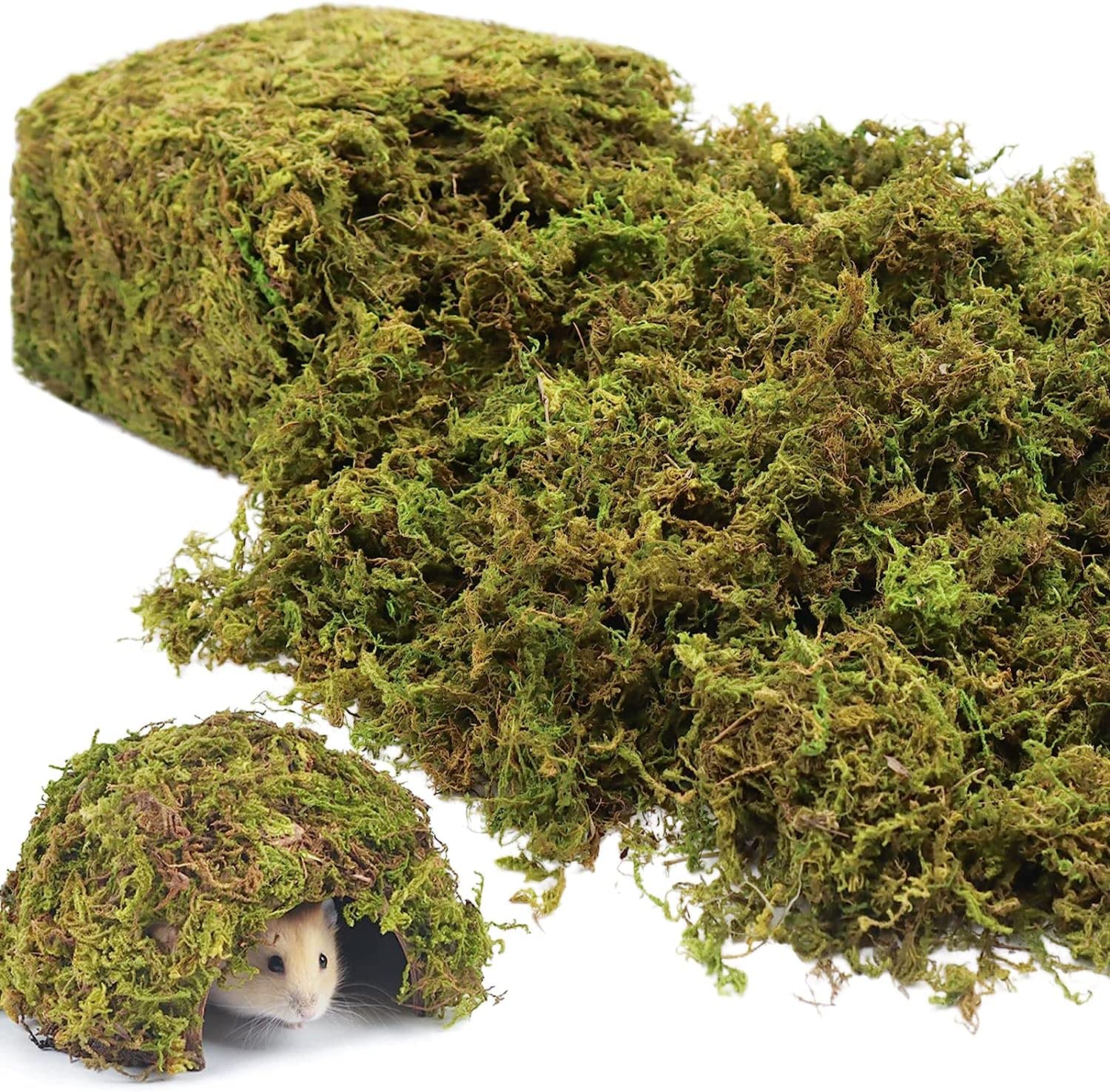 Riare artificial moss green closeup for realistic plant displays.