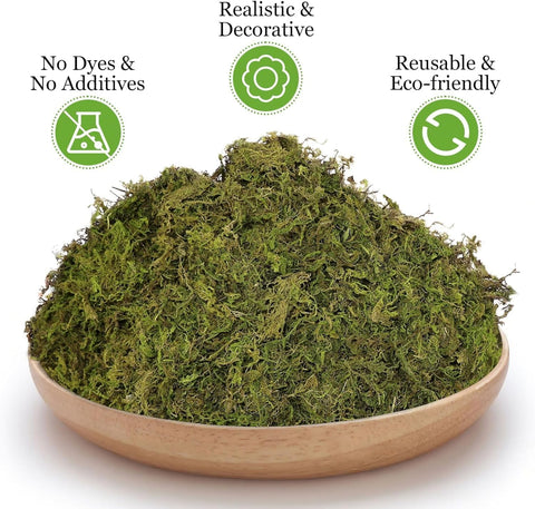 Riare moss for micro landscapes and terrariums provides a natural base.