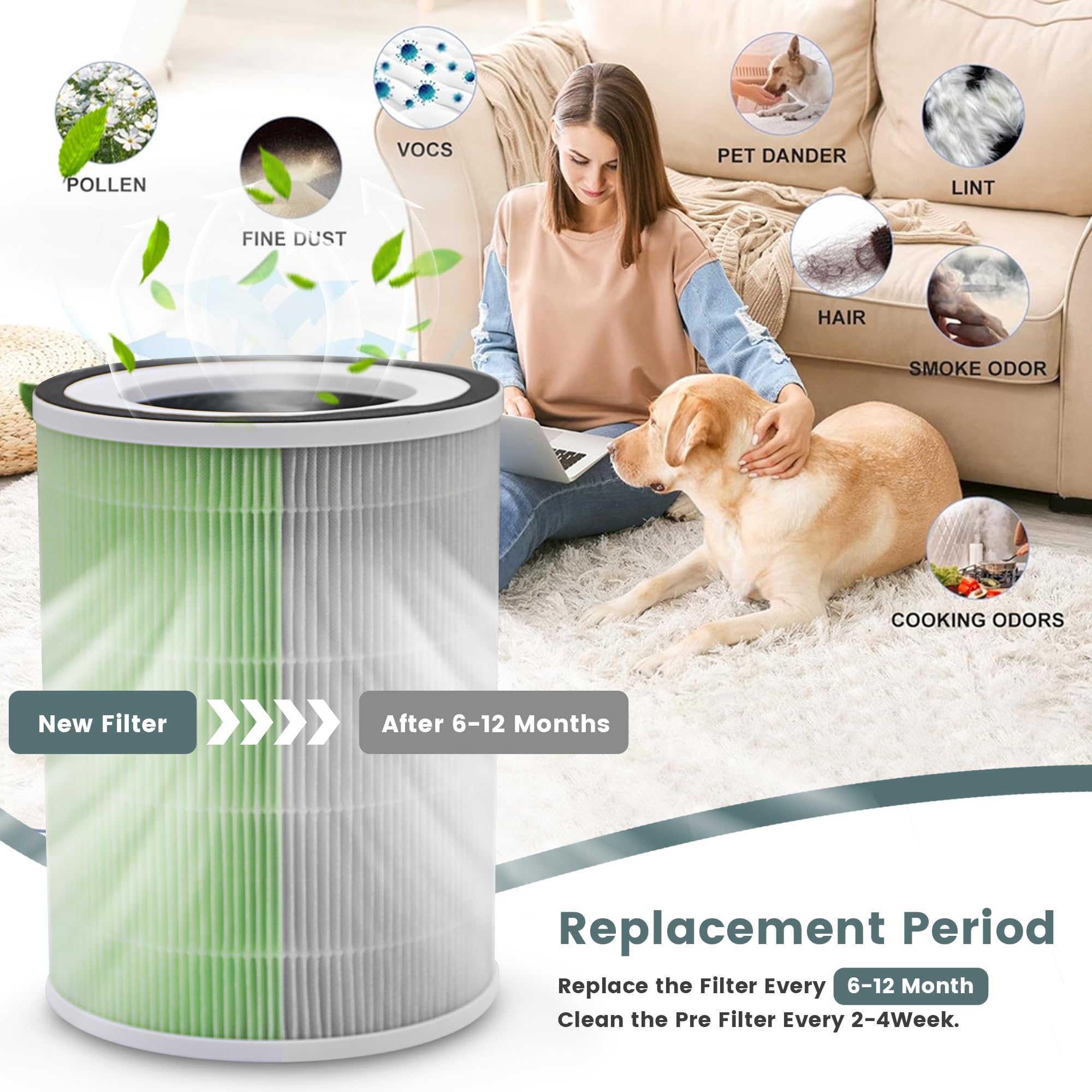 RICHDOWN MIRO PRO filter 2-pack; captures fine particles and odors efficiently.