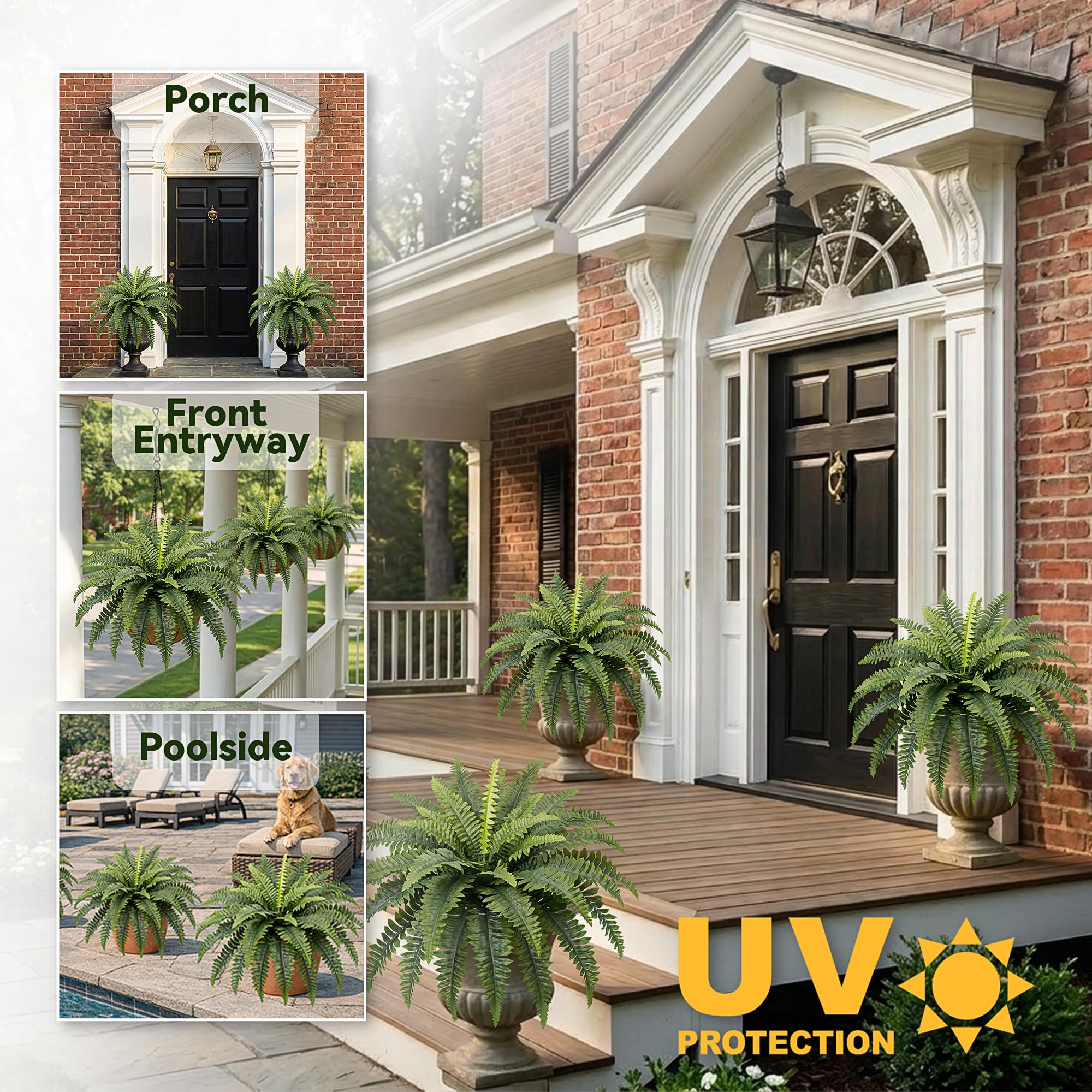 Richeerca fern stems flexible-wire design lets you shape for shelves or baskets.
