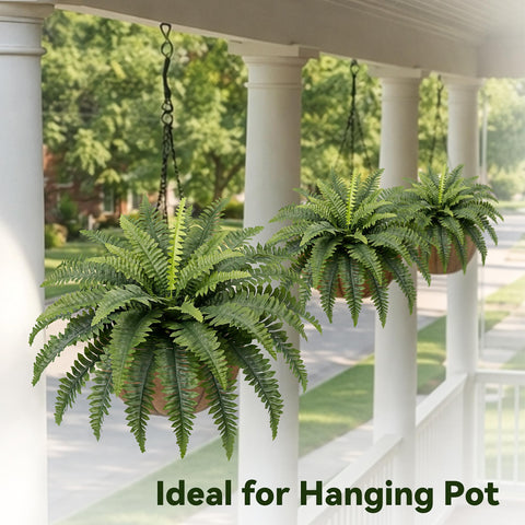Richeerca indoor outdoor fern decor brightens home or office without watering.