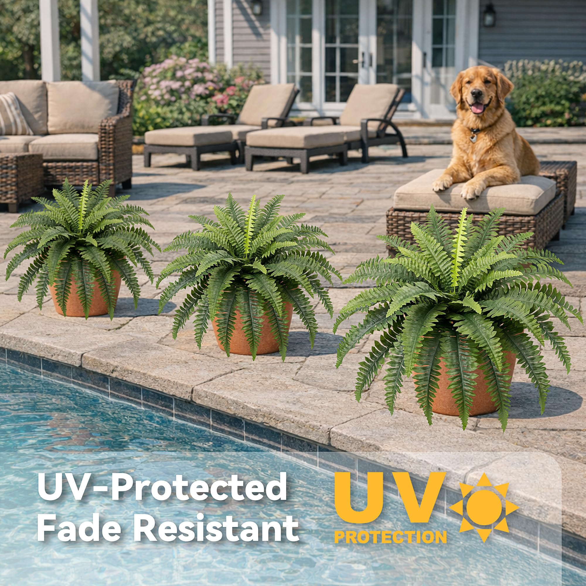 Richeerca UV-resistant silk ferns stay green indoors or outdoors.