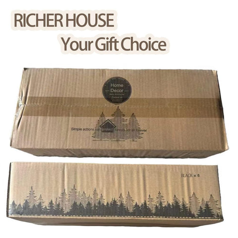 RICHER HOUSE living room wall shelves display plants, frames, or magazines