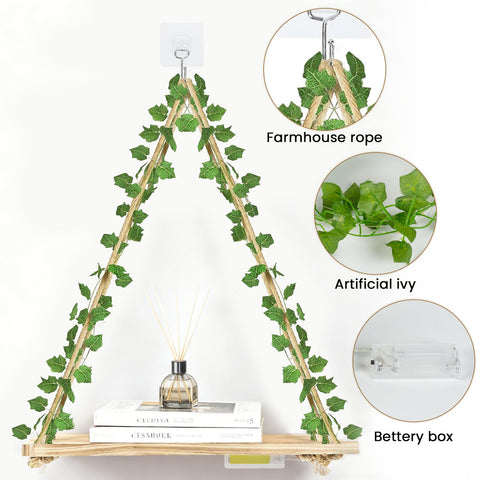 Two wall-mounted shelves by RICHER HOUSE display photos and plants for boho style.