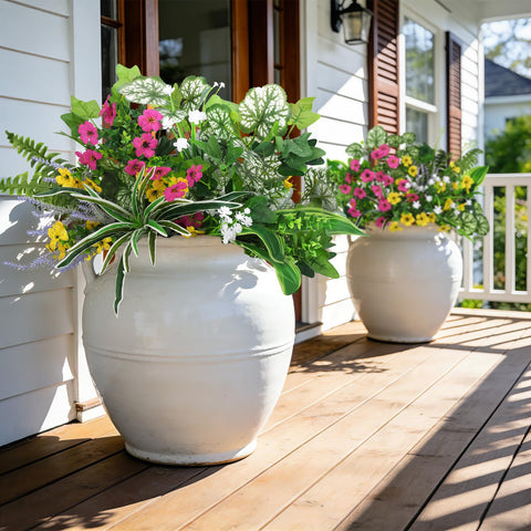 Roberly low maintenance greenery that stays lush without watering or pruning.