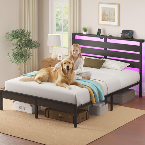 Rolanstar FSC-certified wood frame emphasizes durable construction and responsible sourcing.