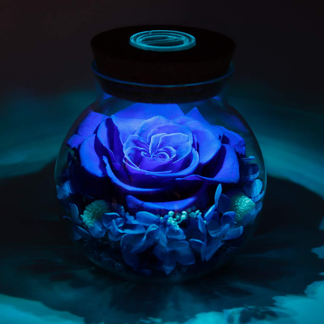 roliys gift ready eternal rose for anniversaries and celebrations